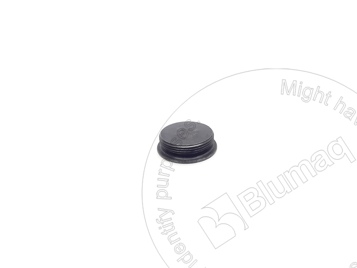032.165 Plug for BLUMAQ
