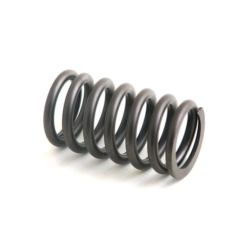 NR91822 Valve Spring for RELIANCE POWER