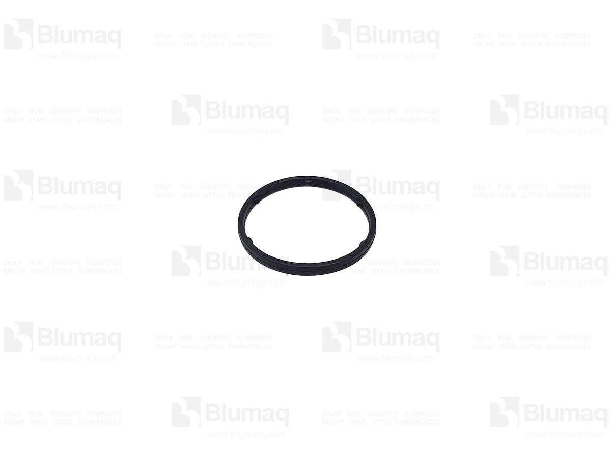 034.496 Seal for BLUMAQ