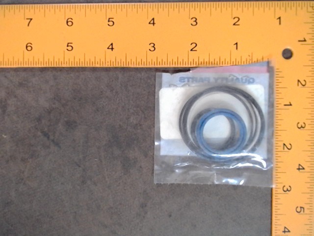 1749782M91 Seal Kit for AGCO