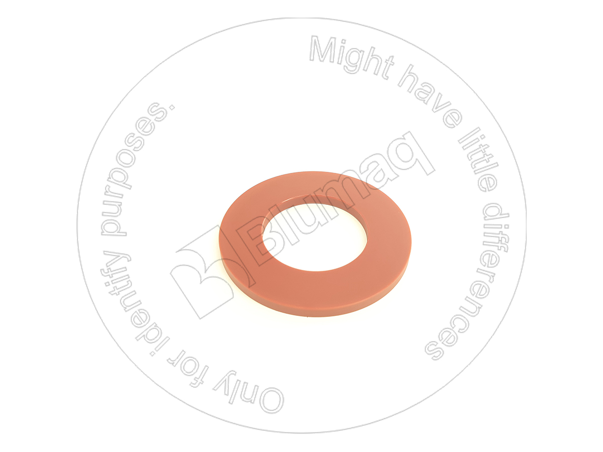 316-4811 Washer for BLUMAQ