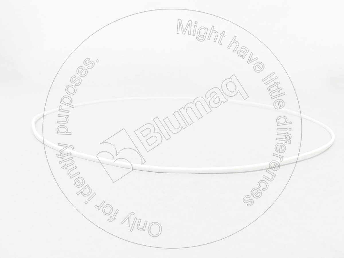 8S-3371 Segment for BLUMAQ