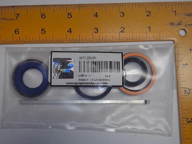 WR122431 Kit for AGCO