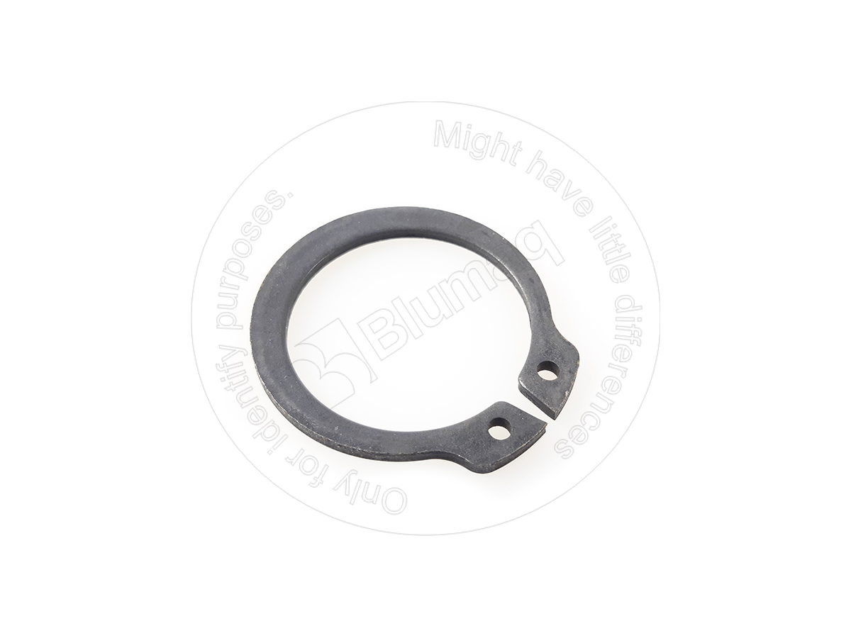 098-2642 Snap Ring