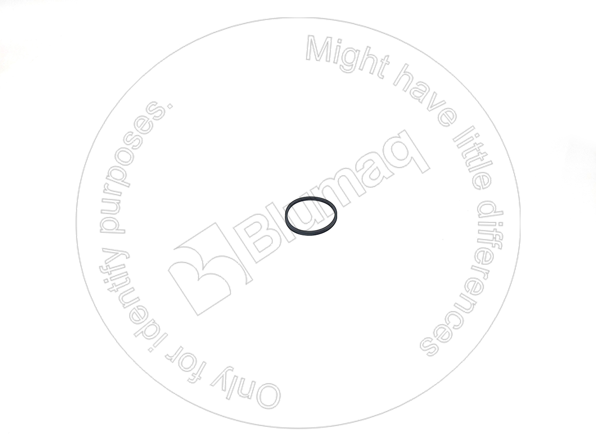 115.A117 Seal for BLUMAQ