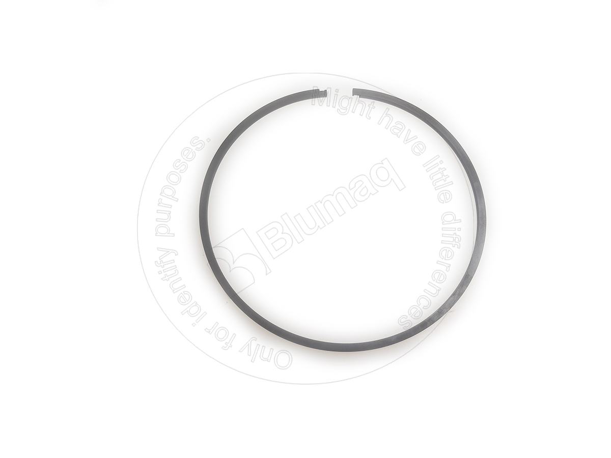 6F-0156 BLUMAQ Ring