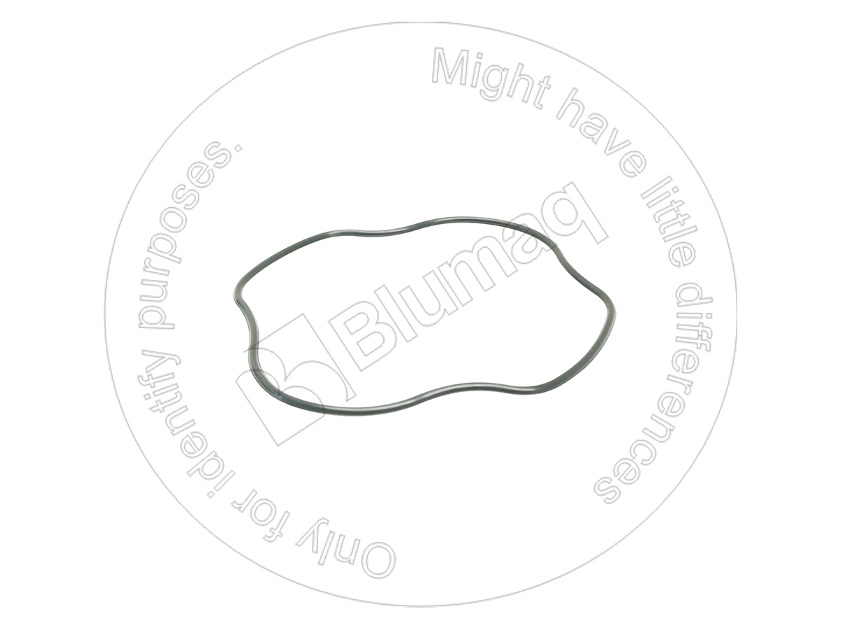 705-19-03380 Seal O-ring for BLUMAQ