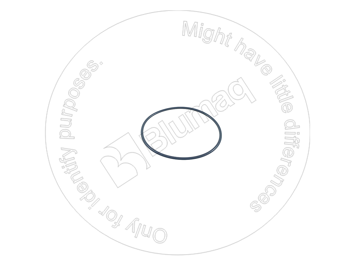 6503-20-1650 Seal O-ring for BLUMAQ