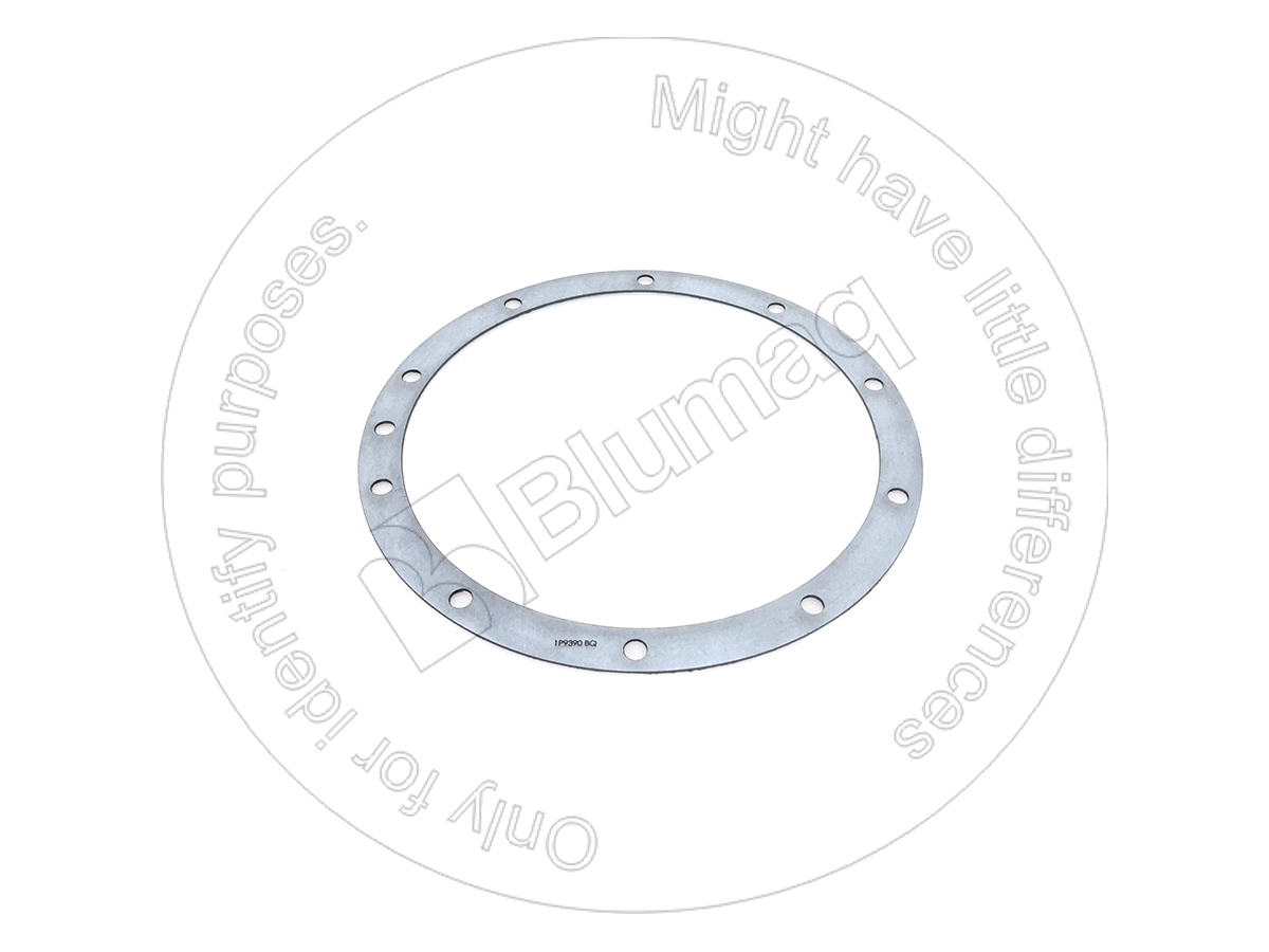 1P-9390 Gasket for BLUMAQ