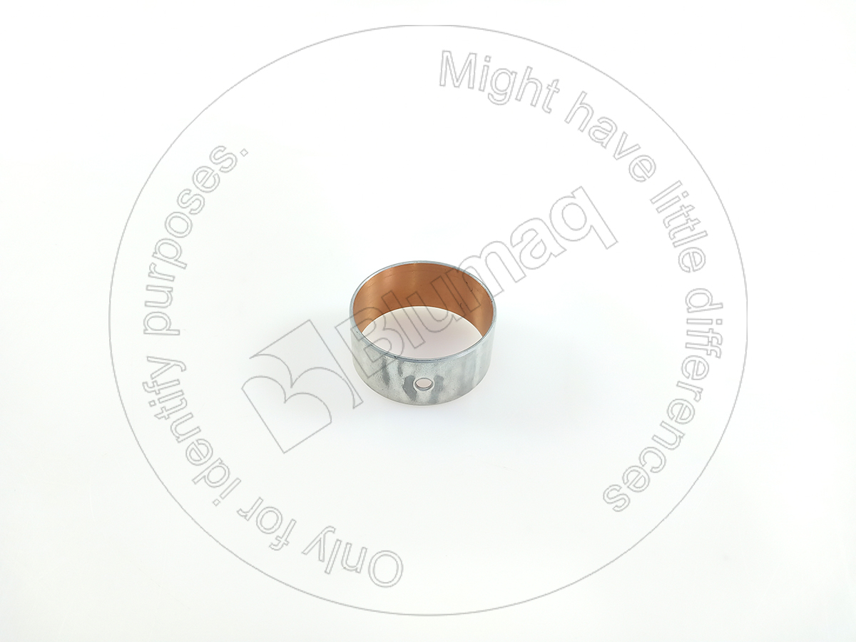 CSJ901306 Camshaft Bearing