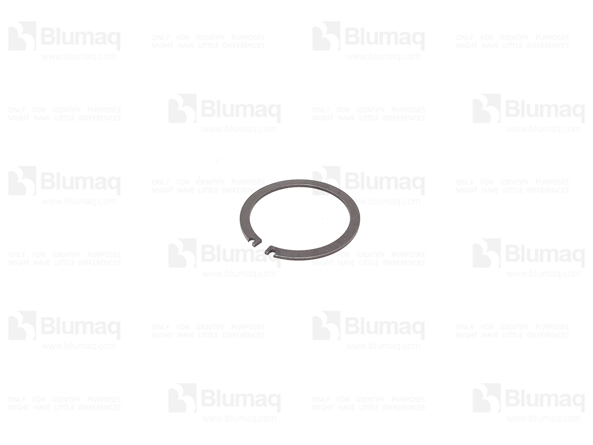 8C-2949 Ring for BLUMAQ