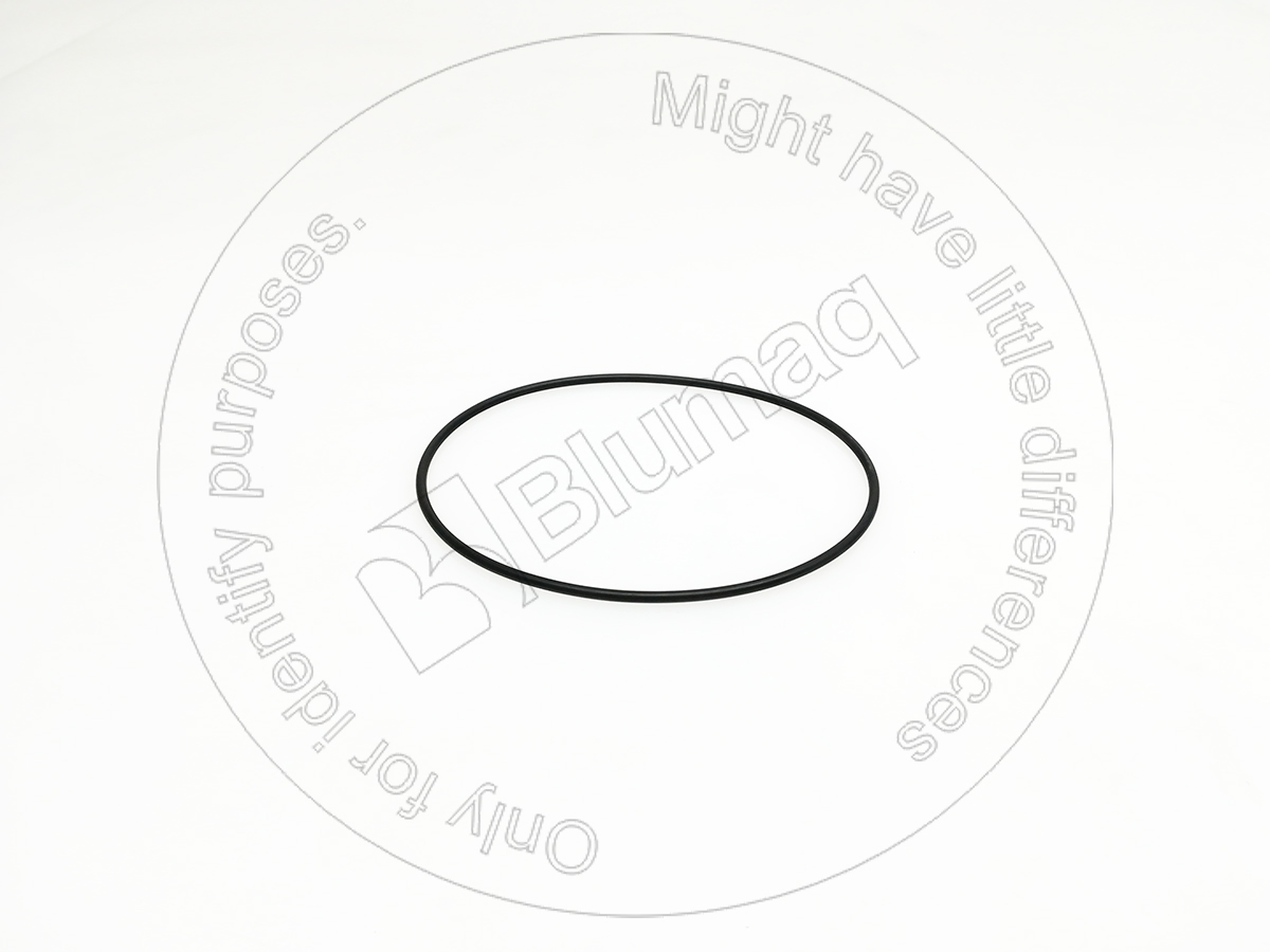 G347 Seal O-ring