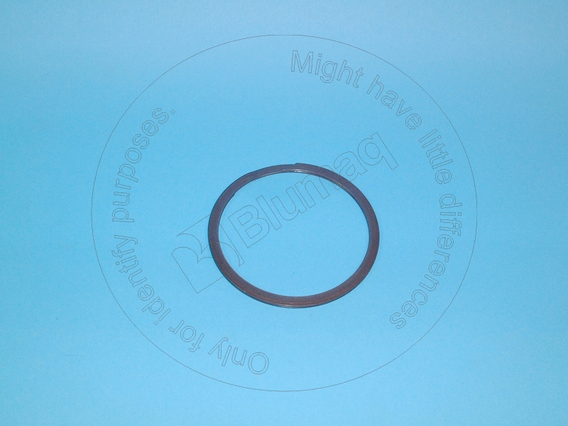 1M-8652 Seal Ring for BLUMAQ