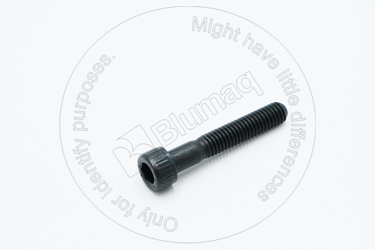 6V-8653 Allen Bolt