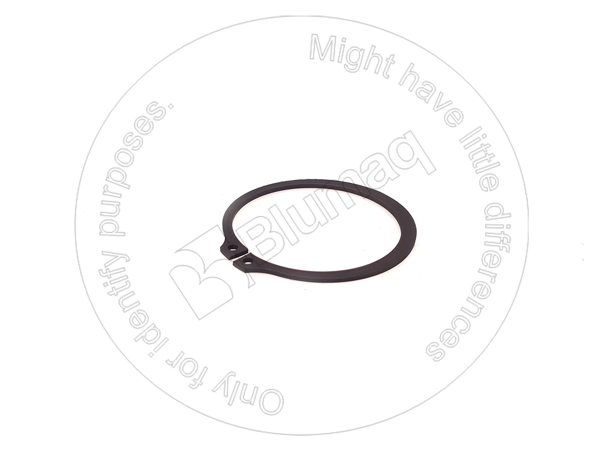 061-9579 Ring for BLUMAQ