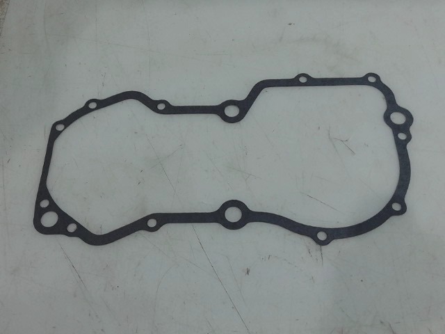 72160695 Gskt for AGCO