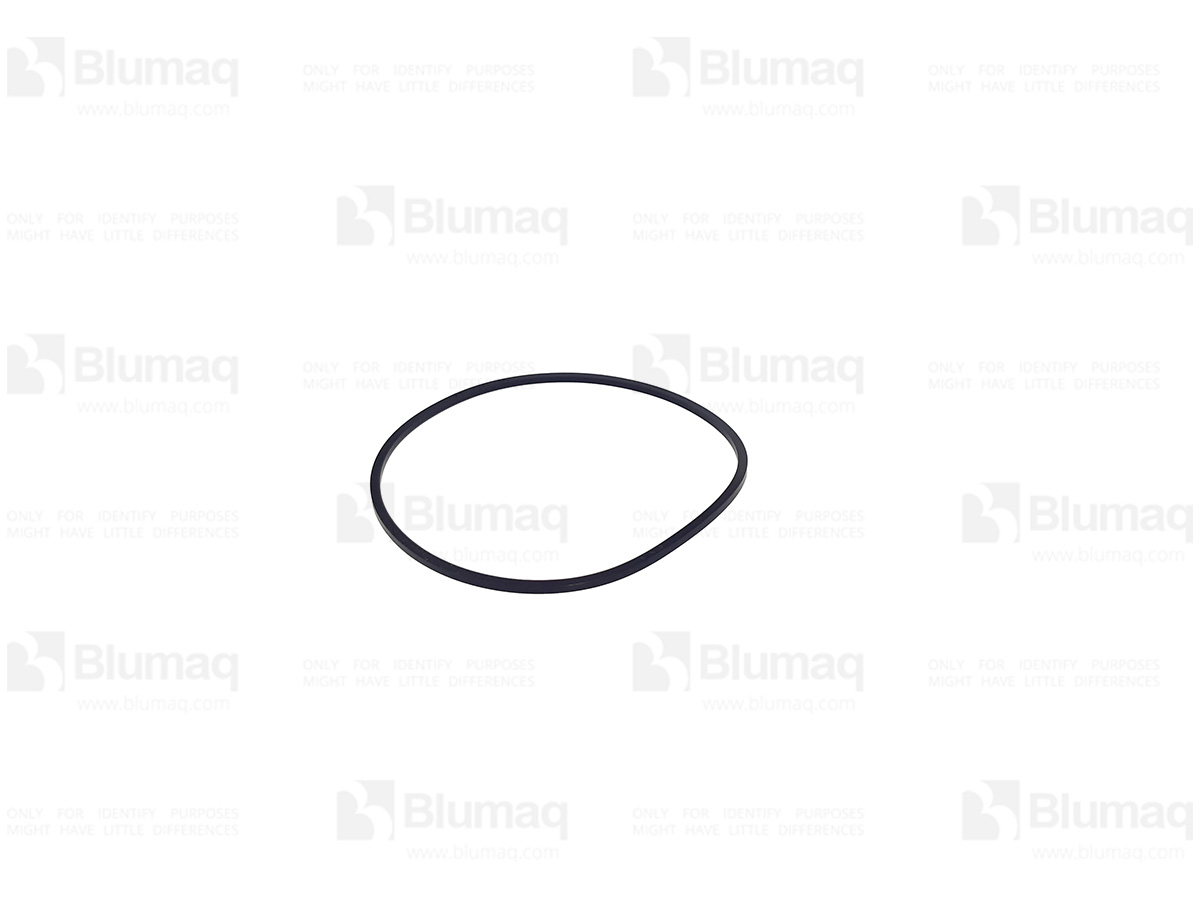 JC813/50026 Seal for BLUMAQ