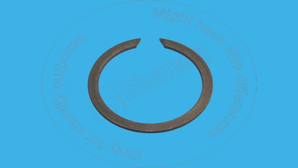 643843 Snap Ring