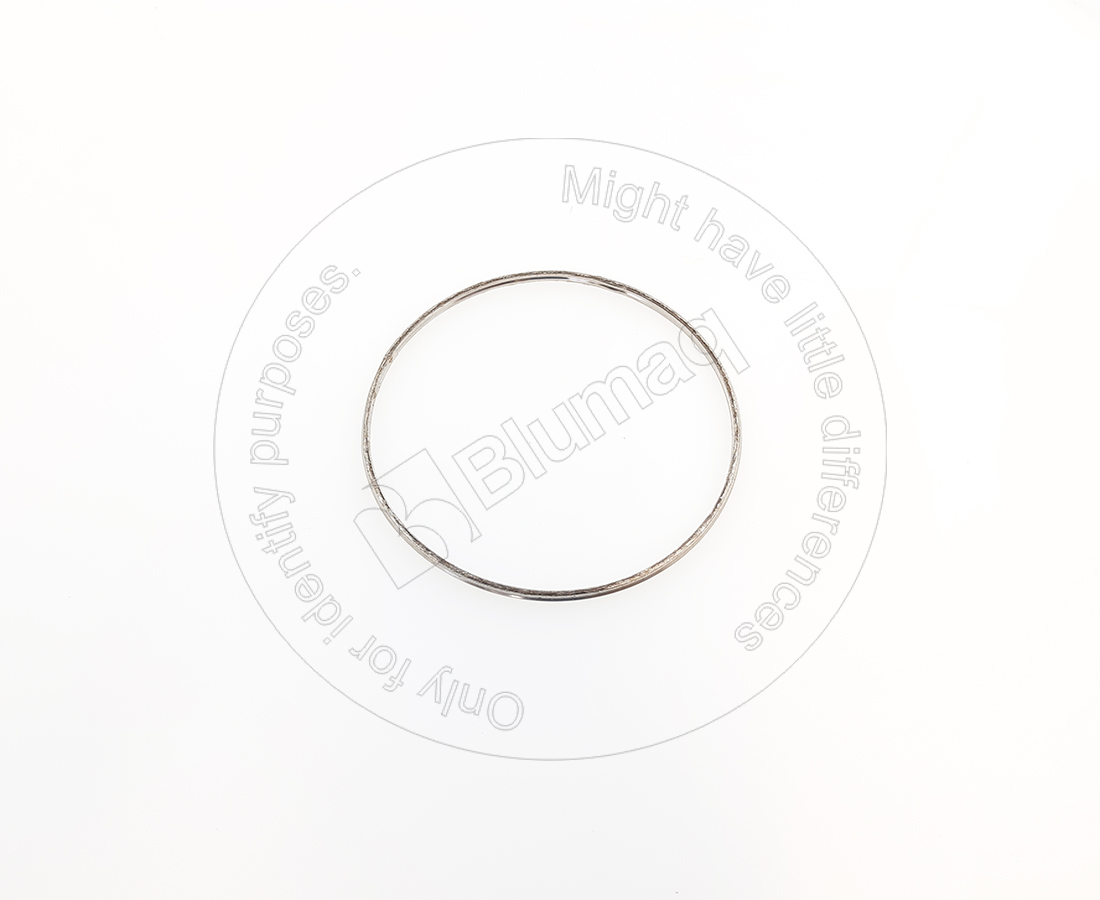 167-9527 Seal for BLUMAQ