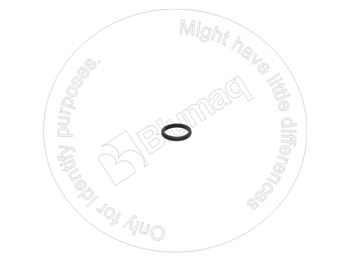 1P-3703 Seal for BLUMAQ