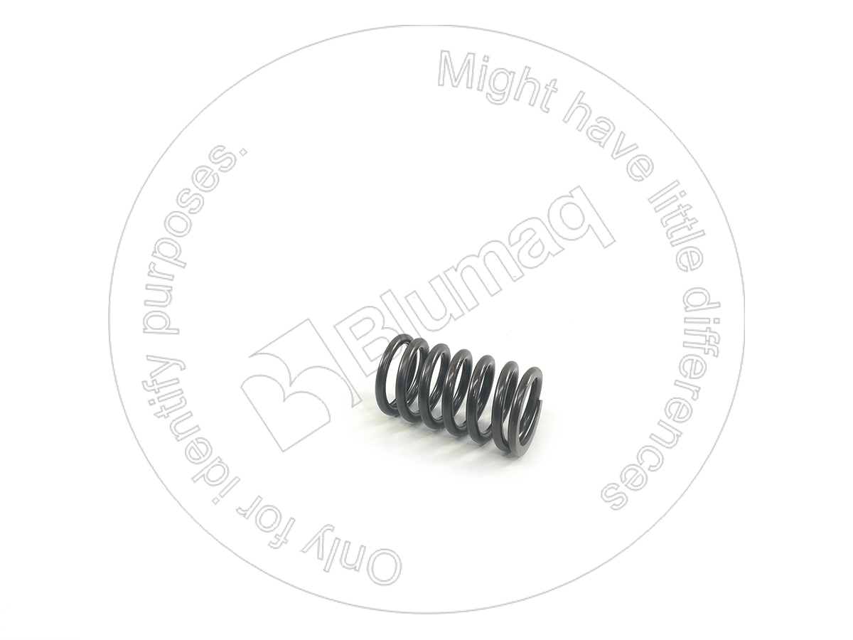 194-4901 Valve Spring