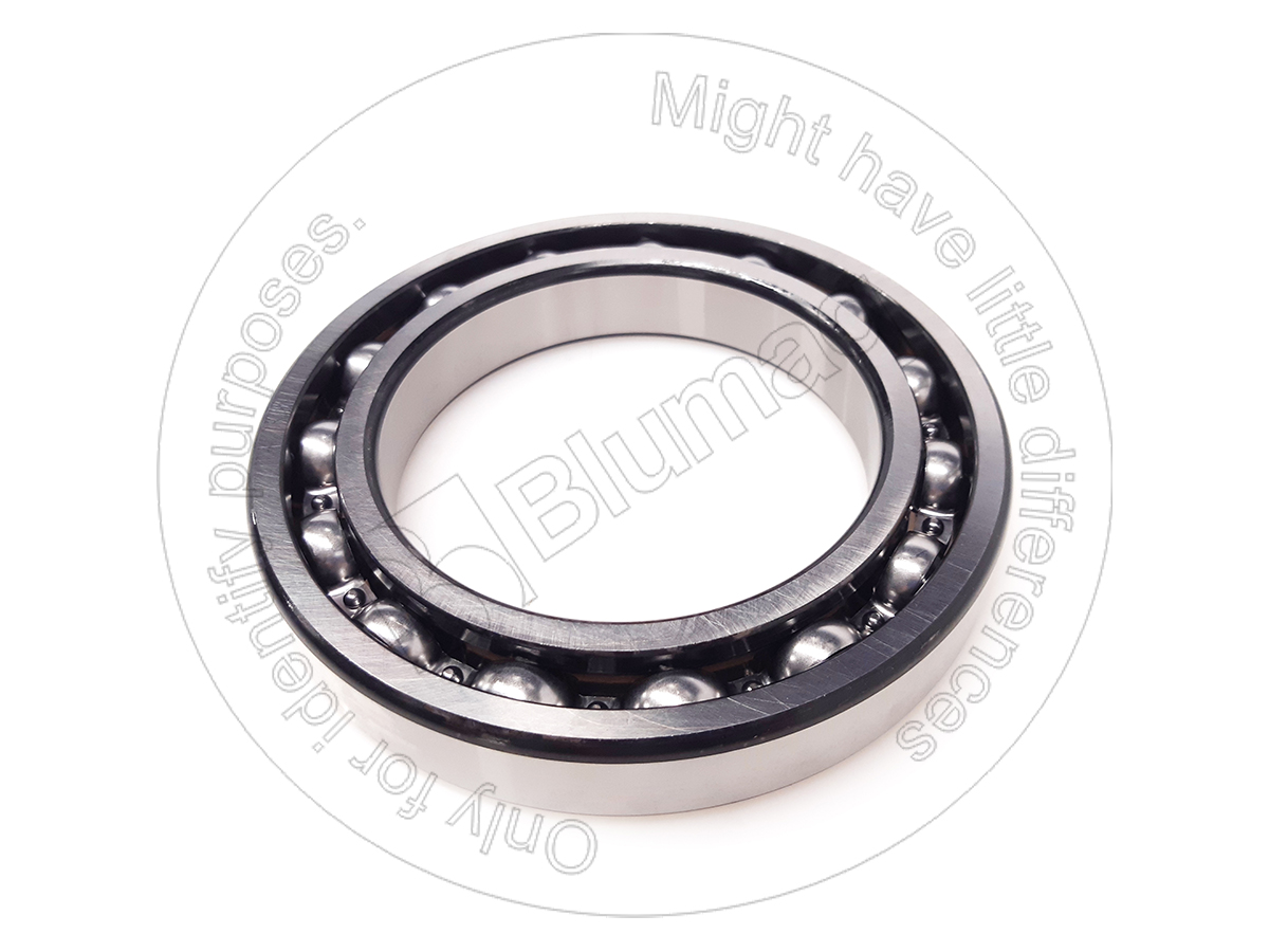 6024C4 Bearing for BLUMAQ