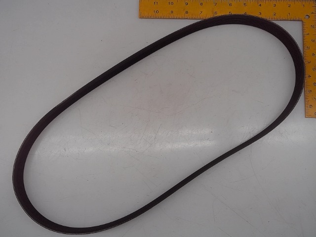 3034348 Belt