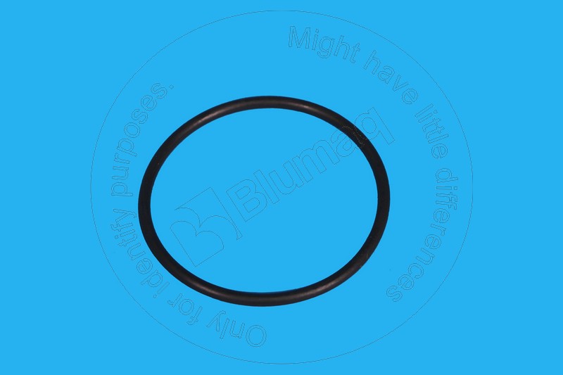 07000-22055 Seal O-ring for BLUMAQ