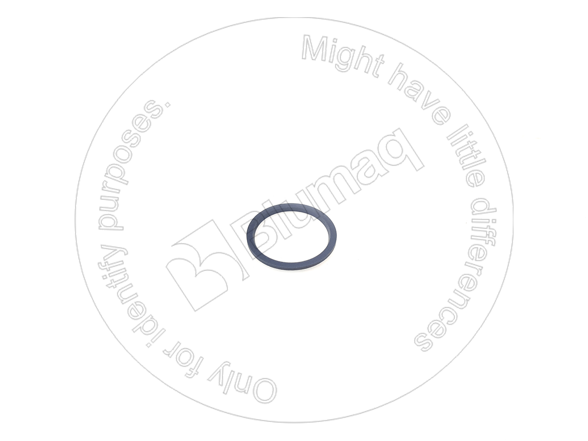 CS76086259 CASE Seal