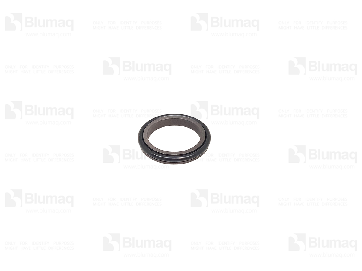 208-5498 Wiper Seal for BLUMAQ