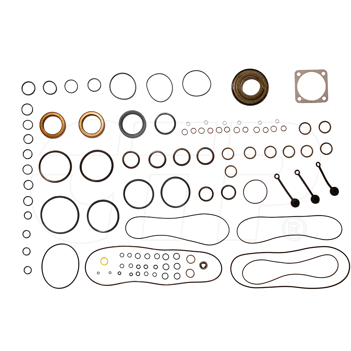 2591034 Kit-dt Gasket