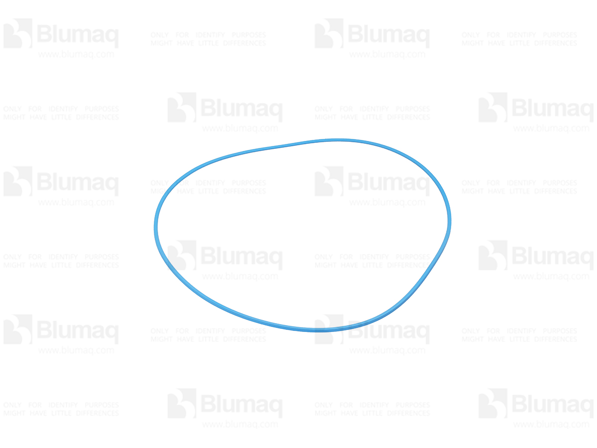 5710579 Seal D Ring