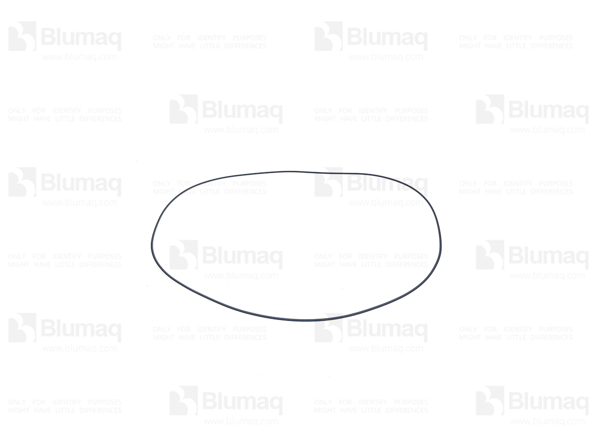 DA153523 Seal O-ring for BLUMAQ