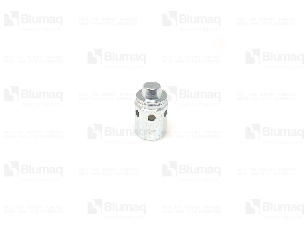 4W-0291 Plunger for BLUMAQ