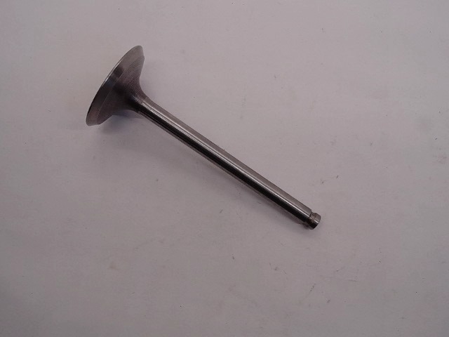 KM120047002 Intake Valve for CUB CADET