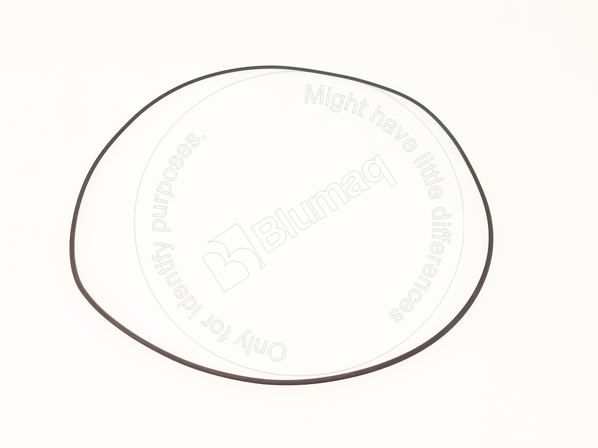 171-9375 Seal O-ring for BLUMAQ
