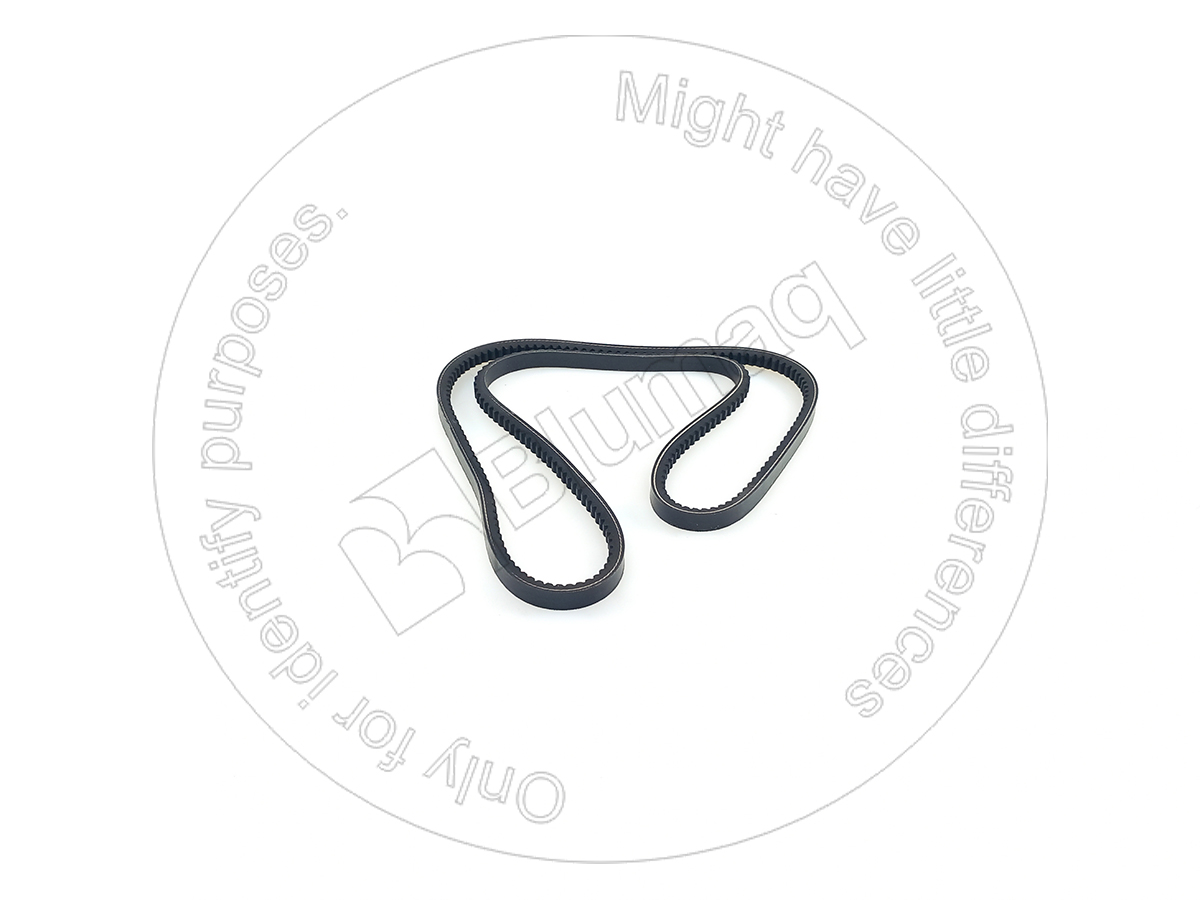 2S-9778 Belt for BLUMAQ