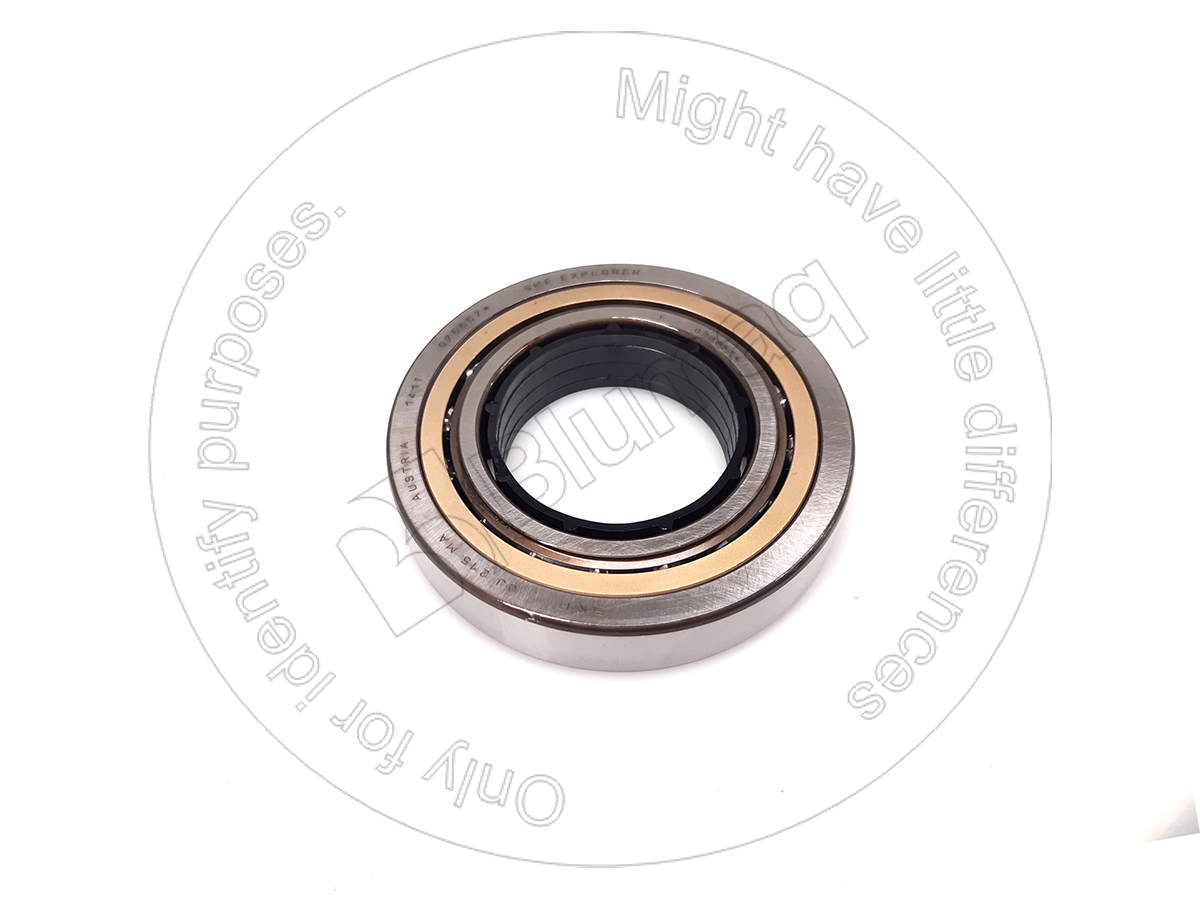 6V-9191 Bearing for BLUMAQ