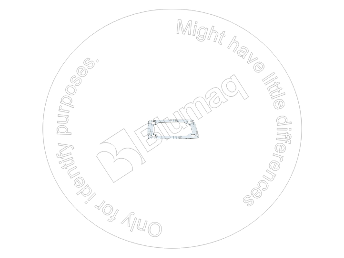 6210-21-1970 Paper Gasket for BLUMAQ