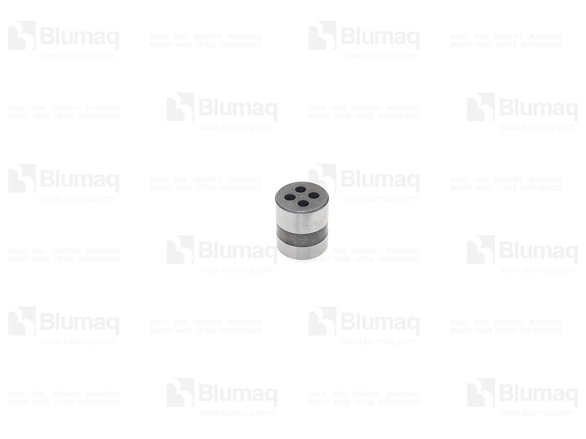 4P-3953 Piston for BLUMAQ
