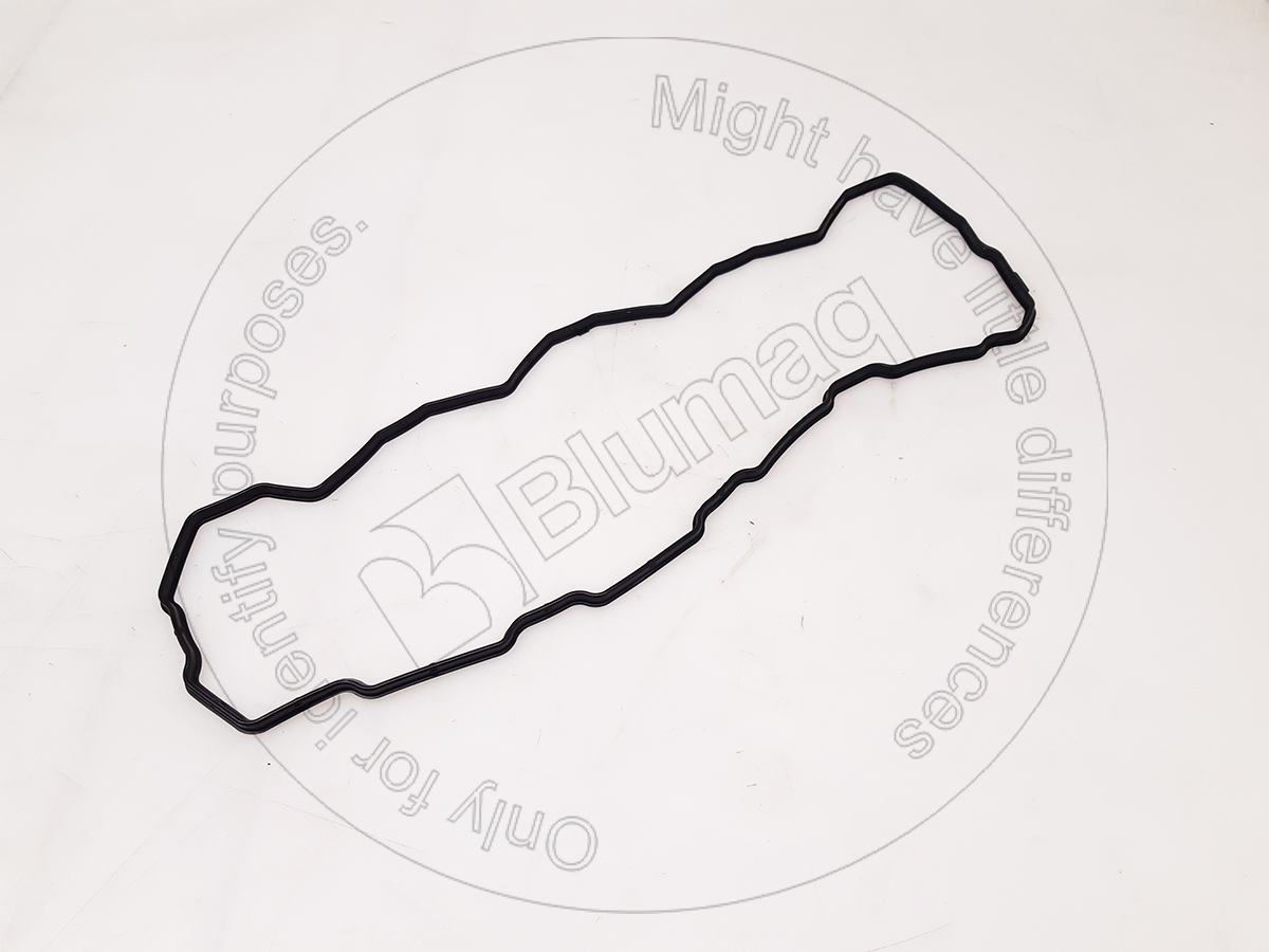 296-4694 Gasket for BLUMAQ