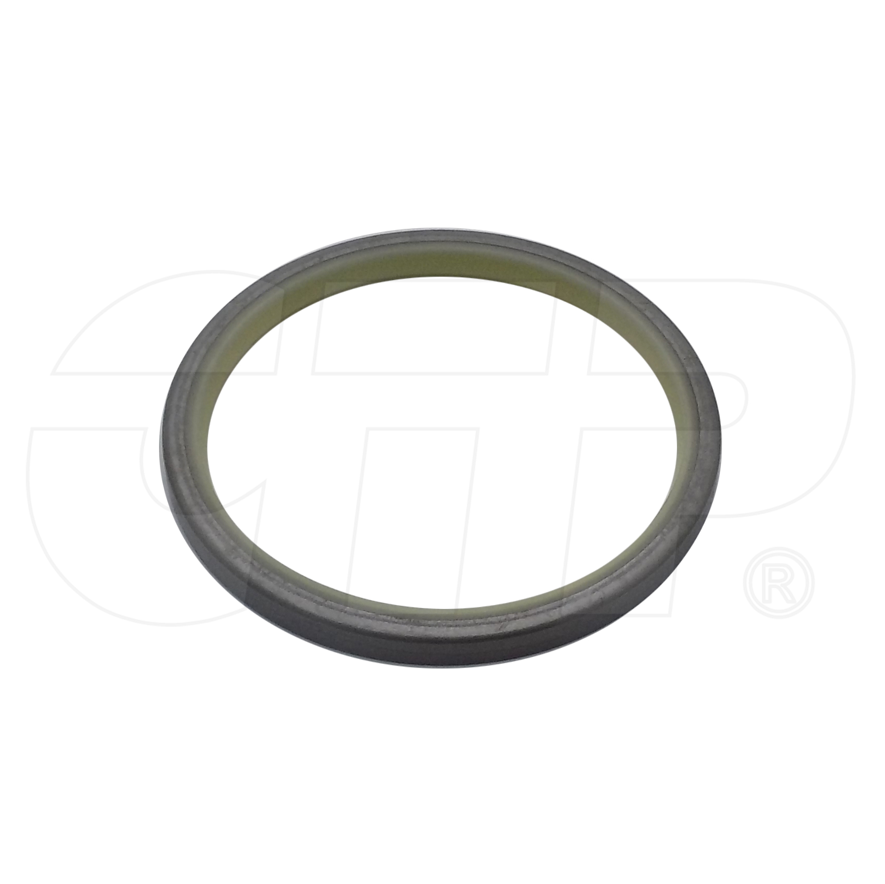 421-09-11310 Dust Seal