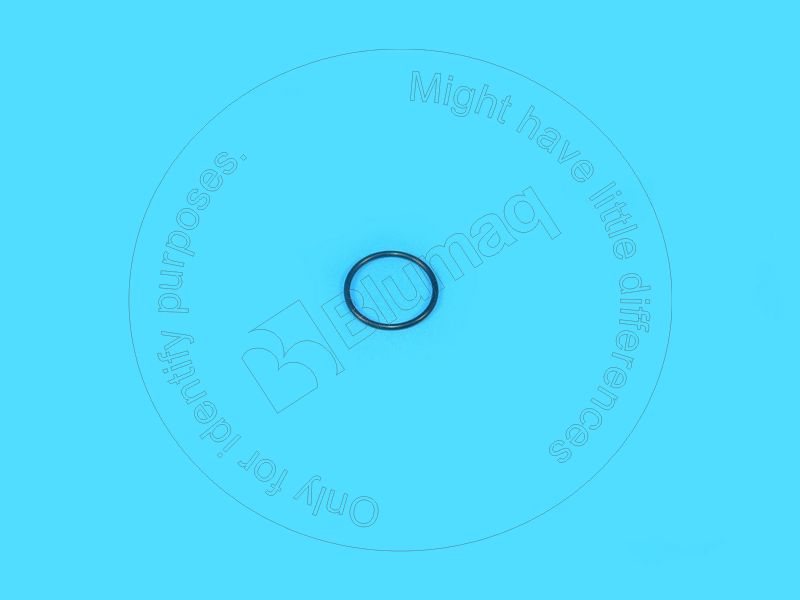 VO60110531 Seal O-ring for BLUMAQ