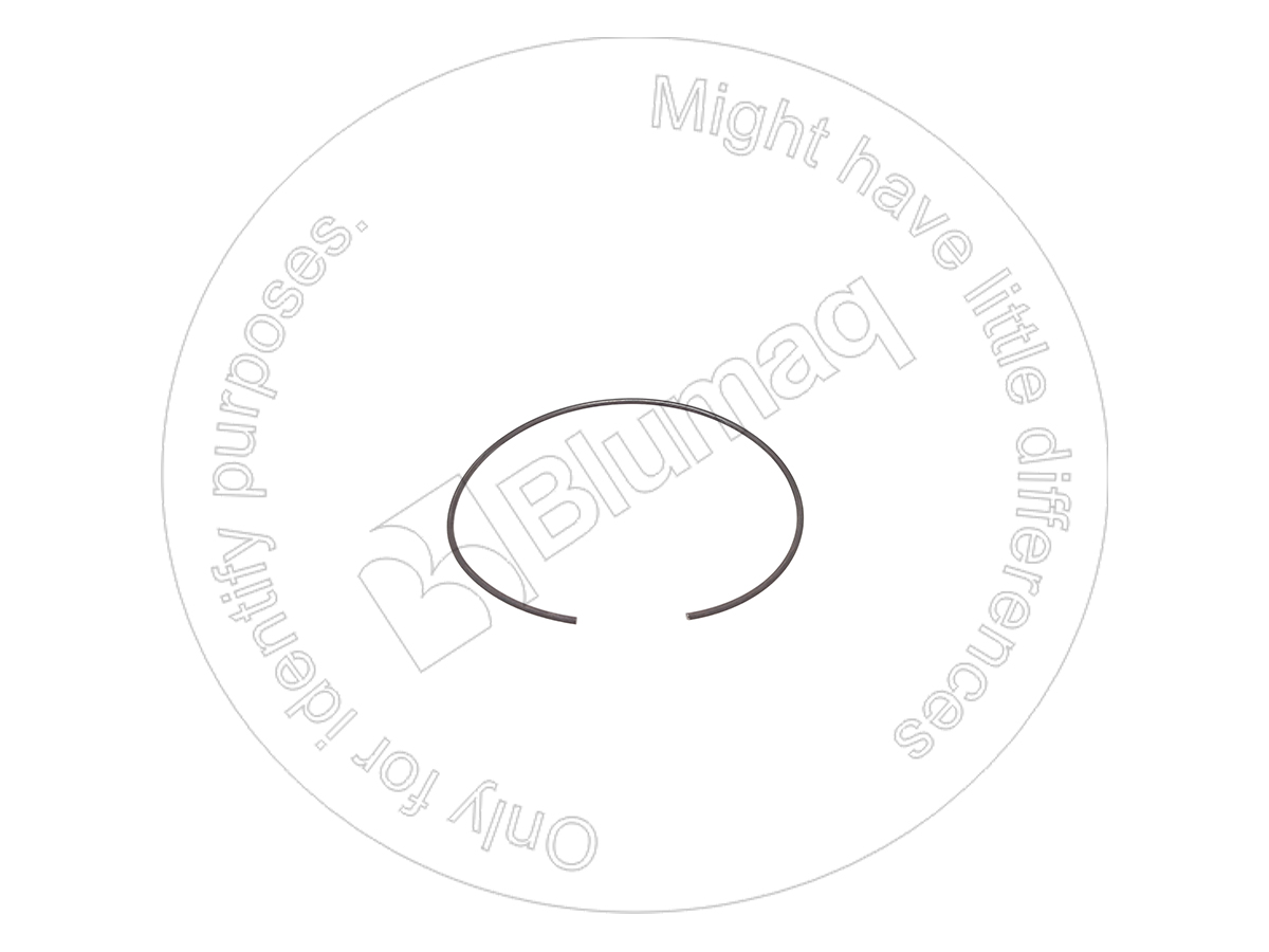 6P-7983 Seal Ring for BLUMAQ