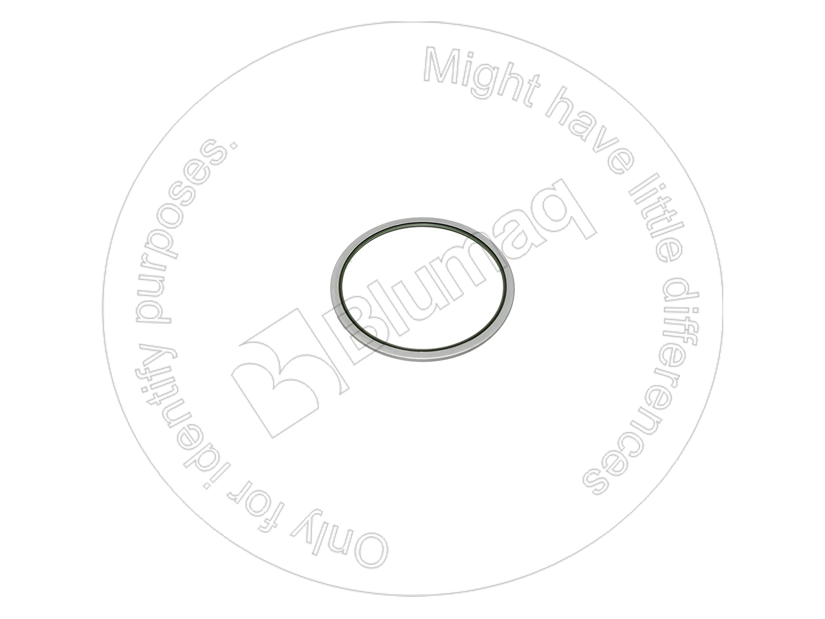 PZF855661398 Dust Seal for BLUMAQ