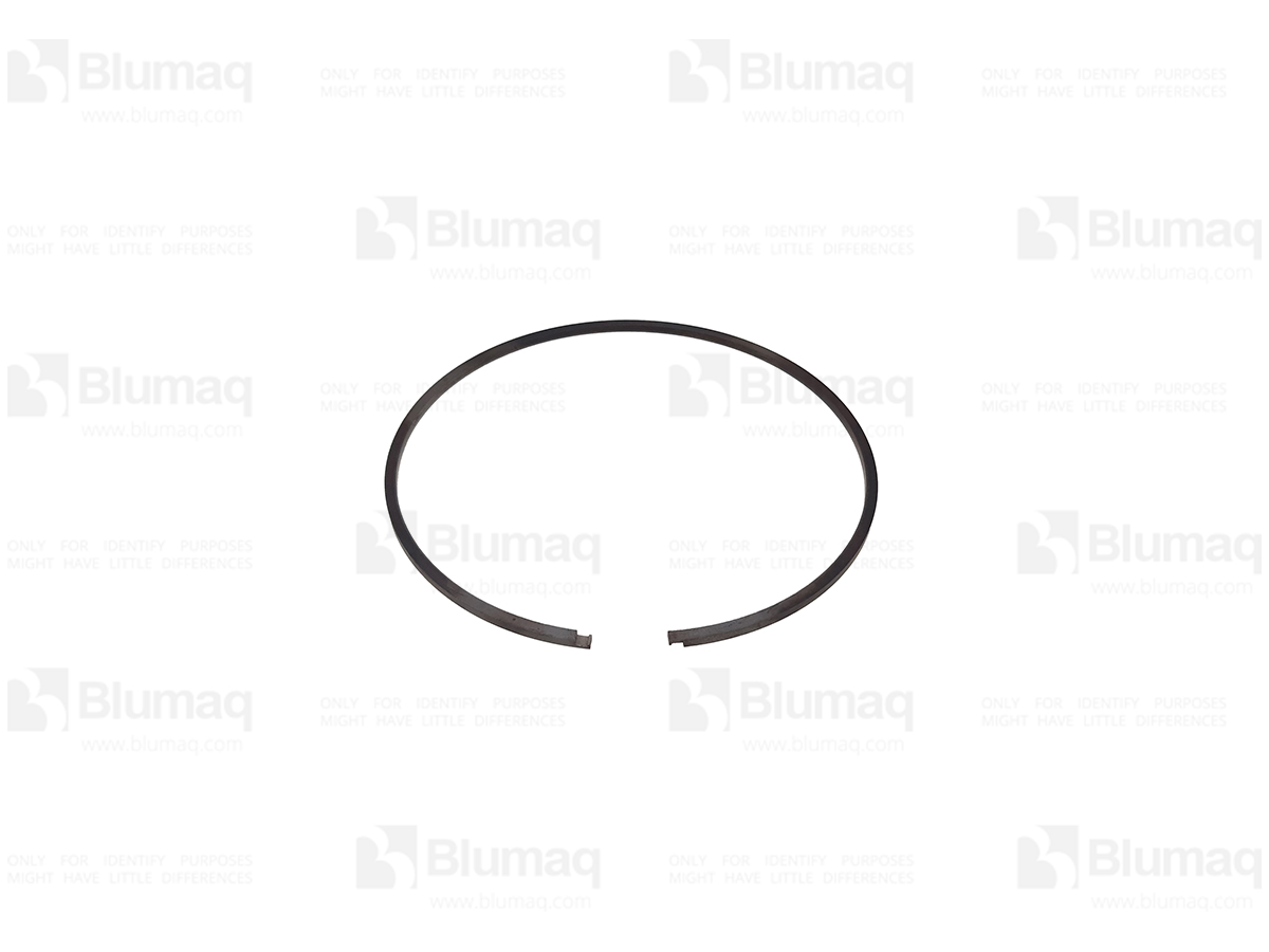 1M-0498 Segment for BLUMAQ