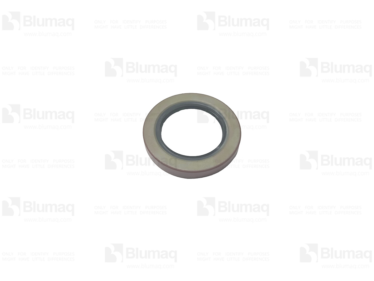 1S-6543 Seal for BLUMAQ