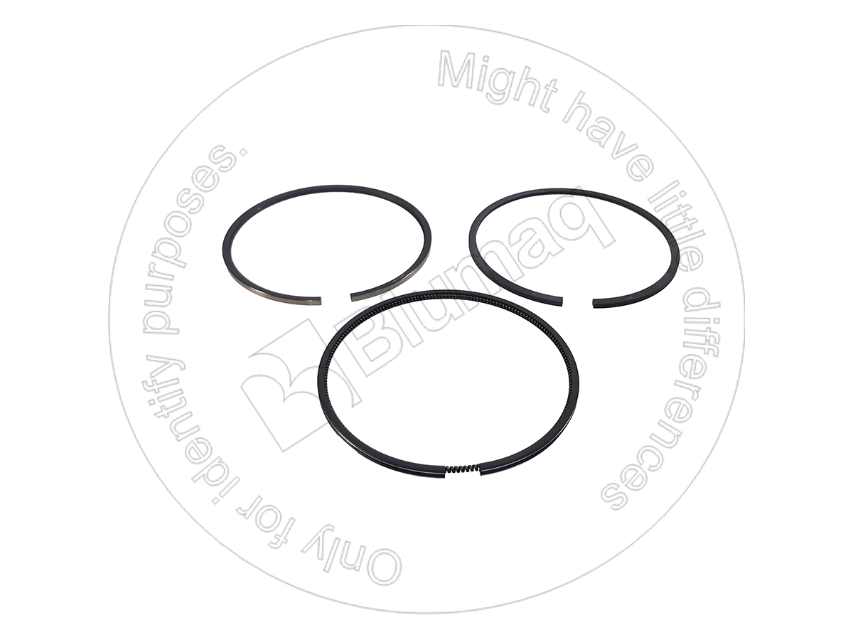 039.283 Piston Ring Kit for BLUMAQ