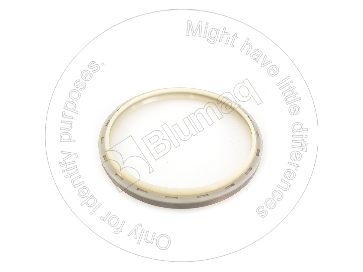 456-0195 Wiper Seal for BLUMAQ