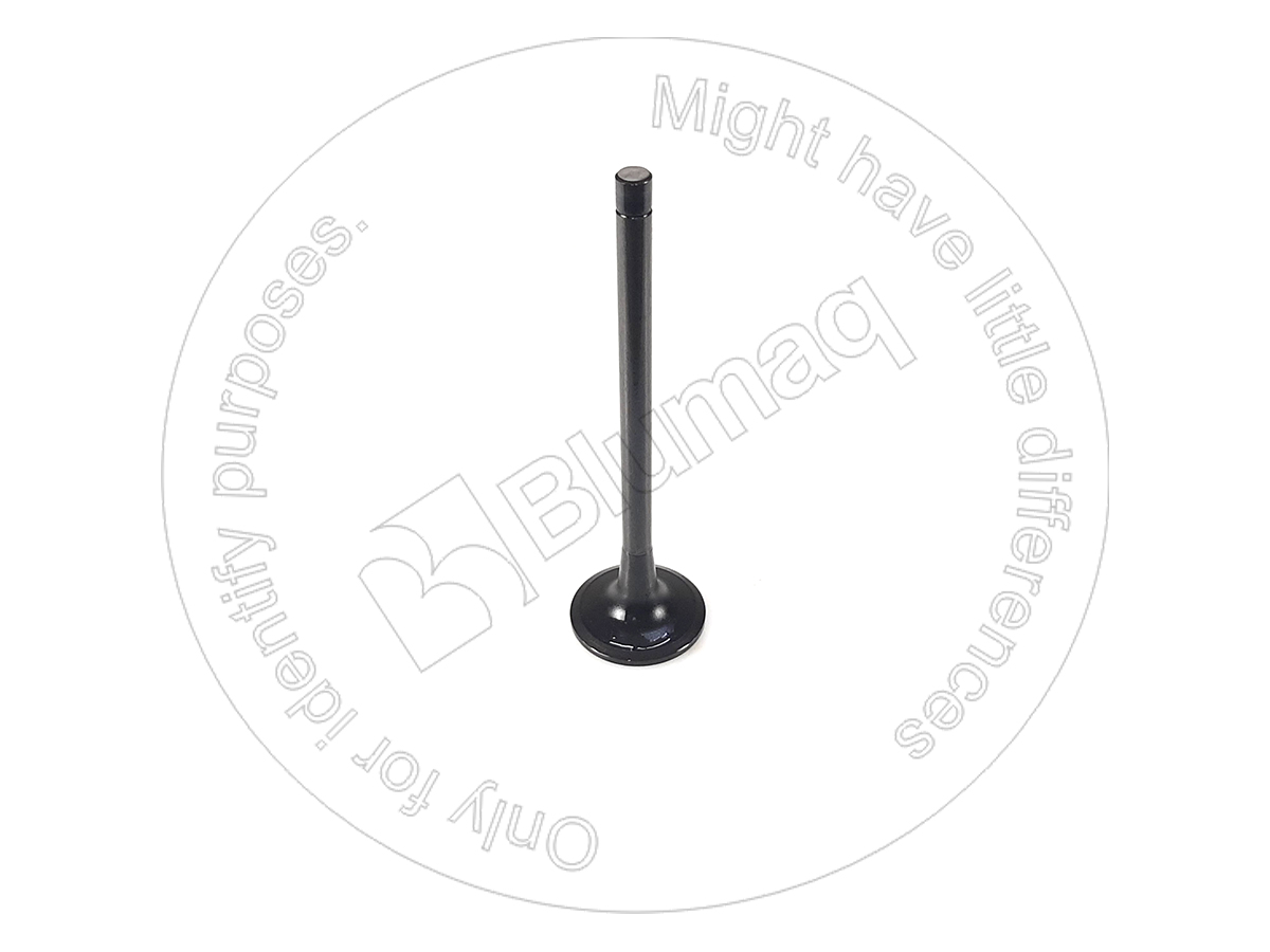 6162-43-4131 Intake Valve for BLUMAQ